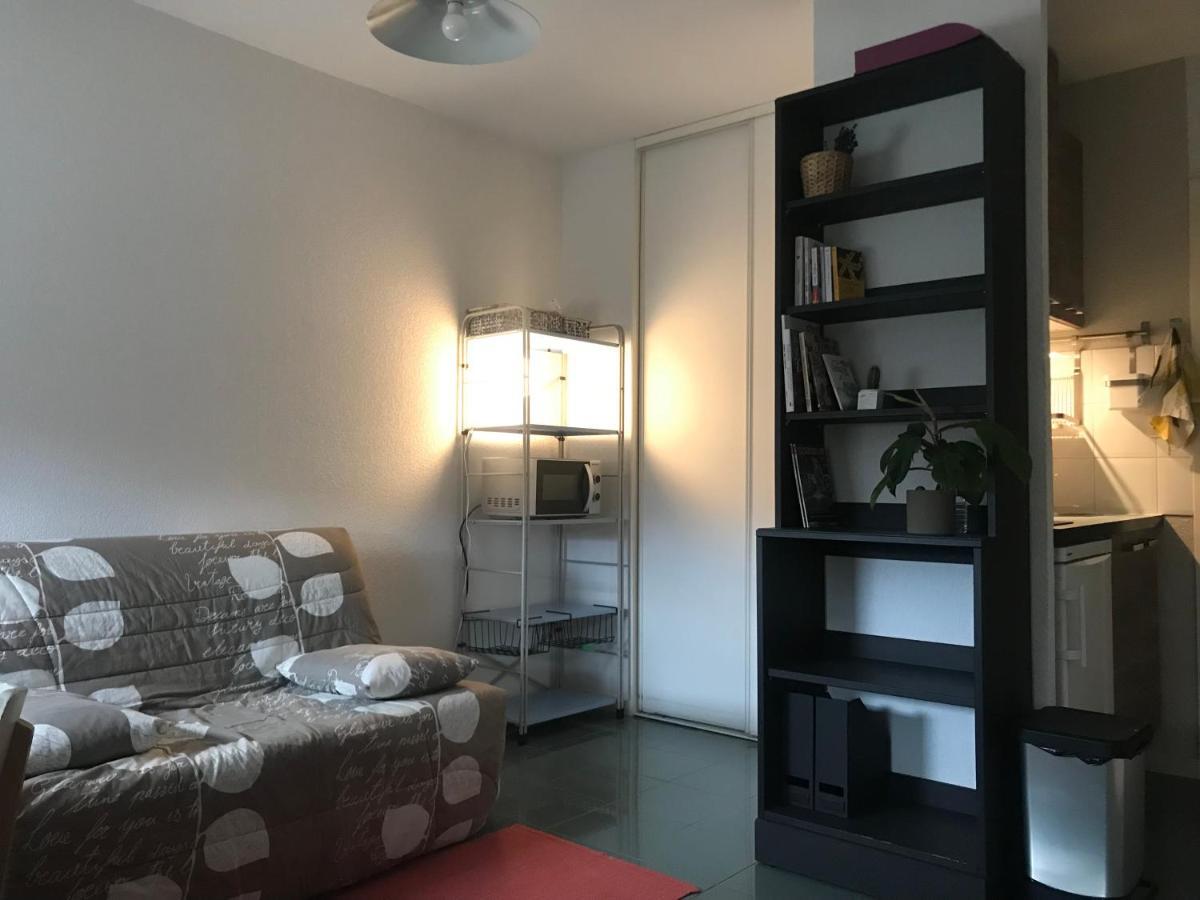 Appartement Dans Toulouse Hyper Centre Exterior photo